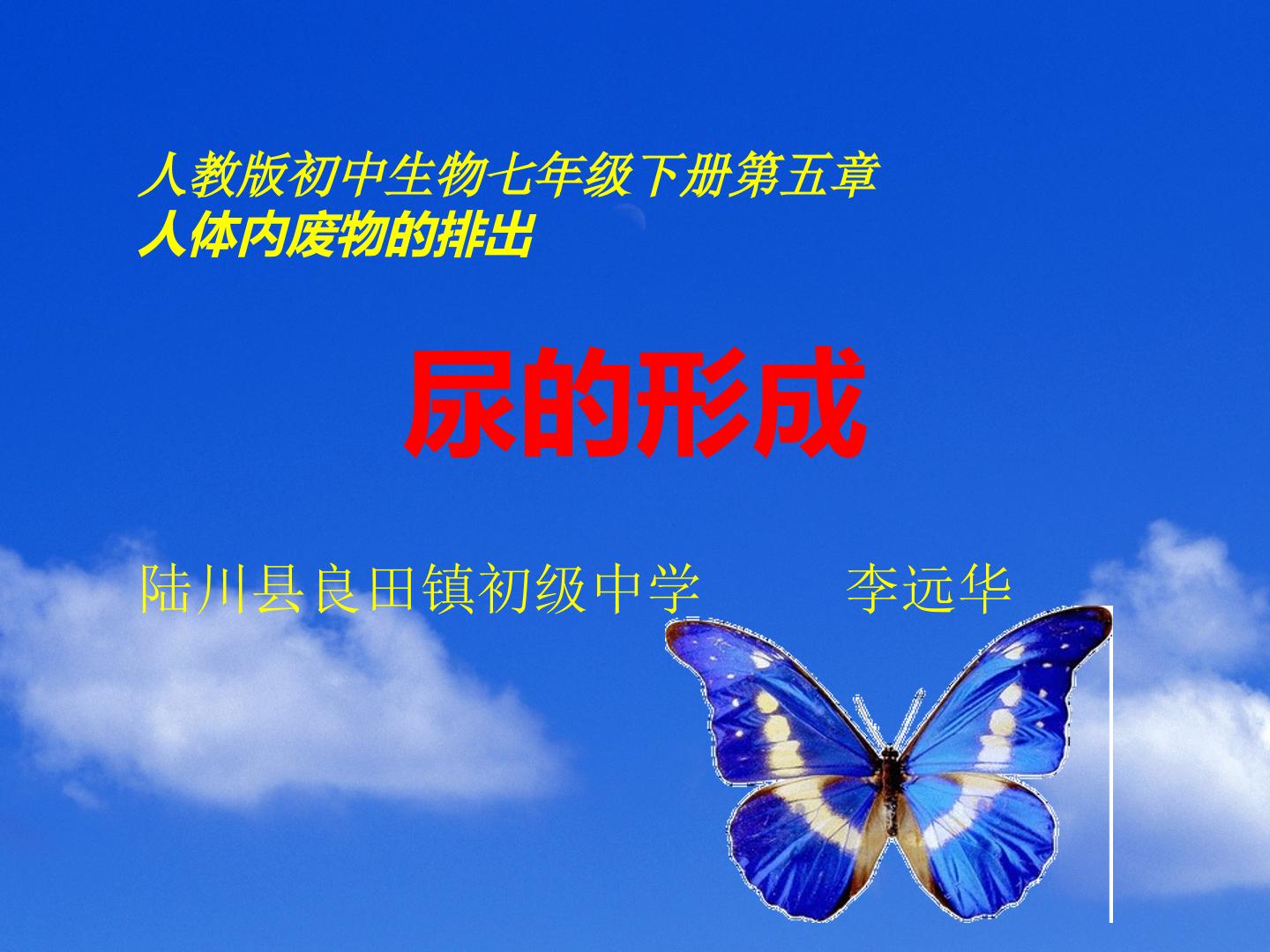 尿的形成