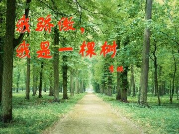 我骄傲，我是一棵树_课件5