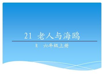 21 老人与海鸥 
