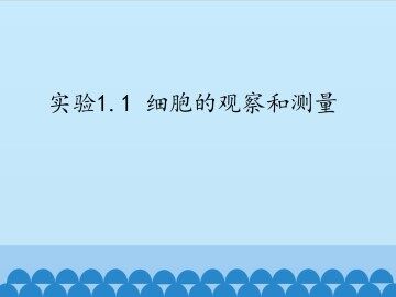 实验1.1 细胞的观察和测量_课件1