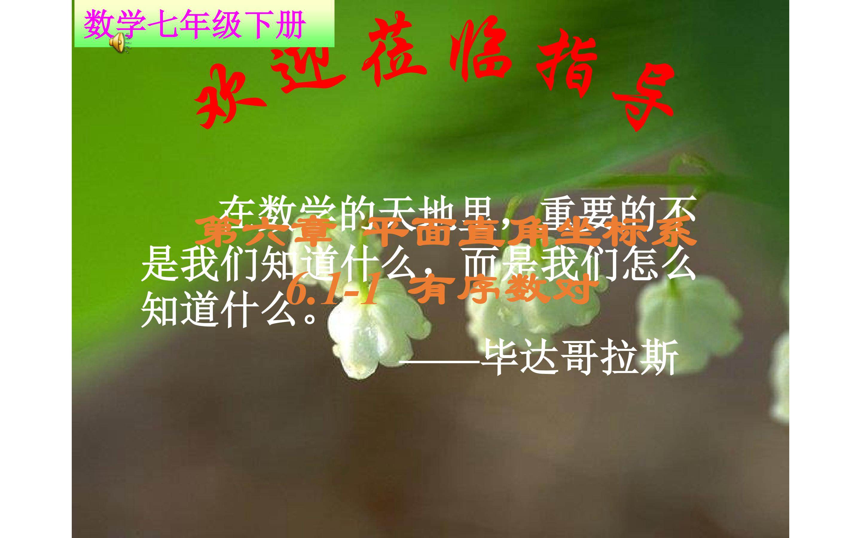 有序数对