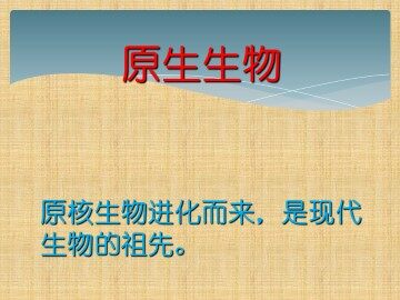 原生生物_课件1