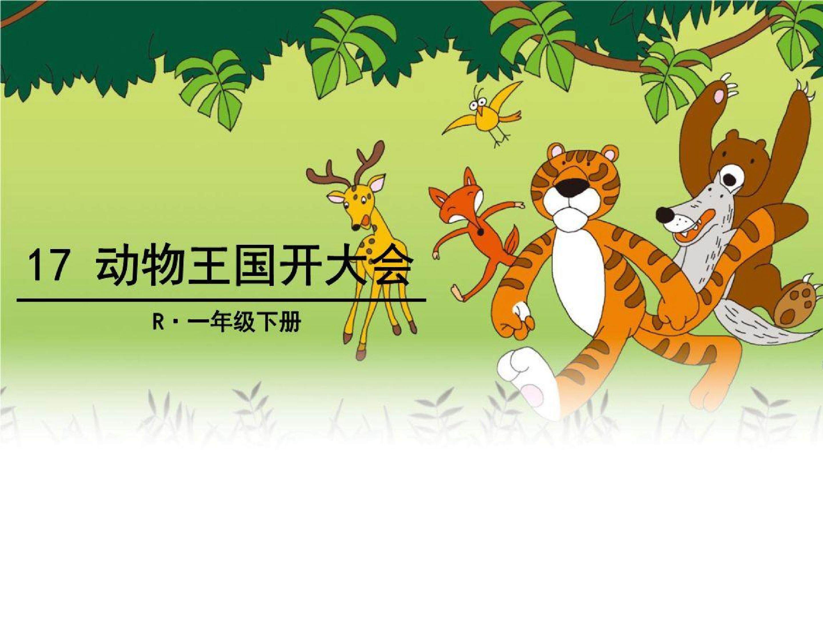 动物王国开大会