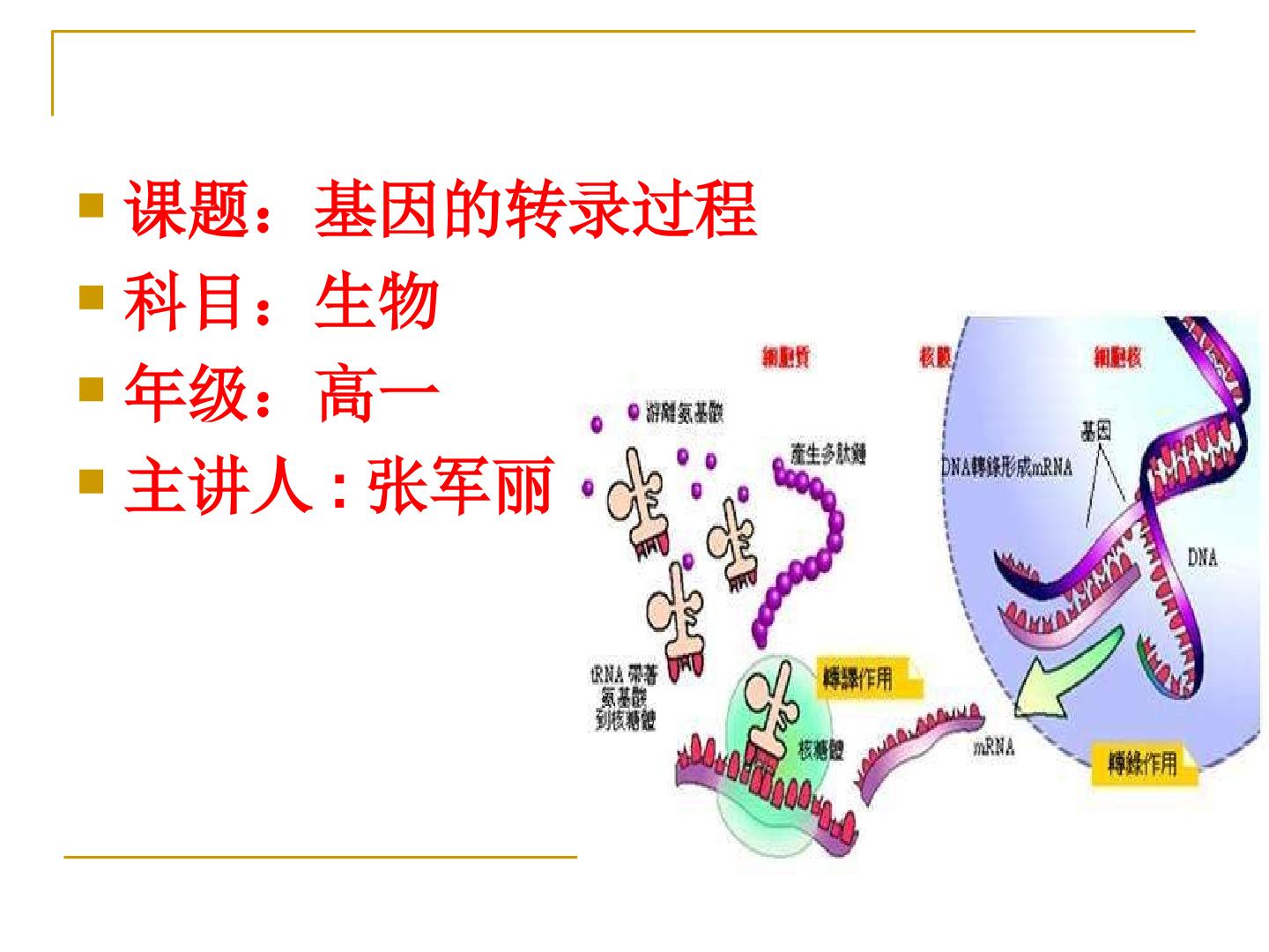 基因的转录