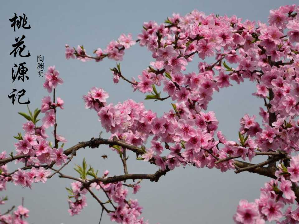 桃花源记