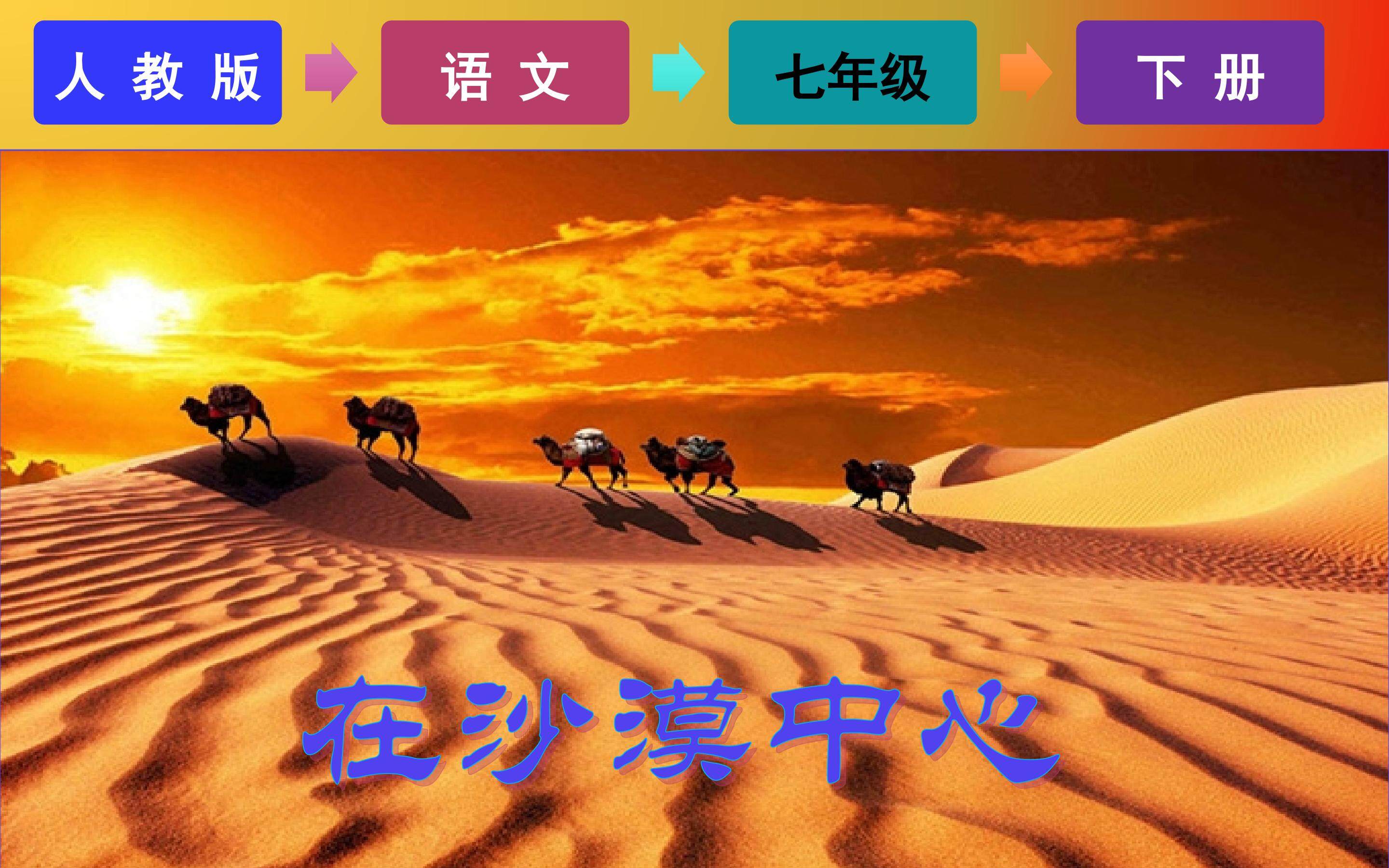 在沙漠中心