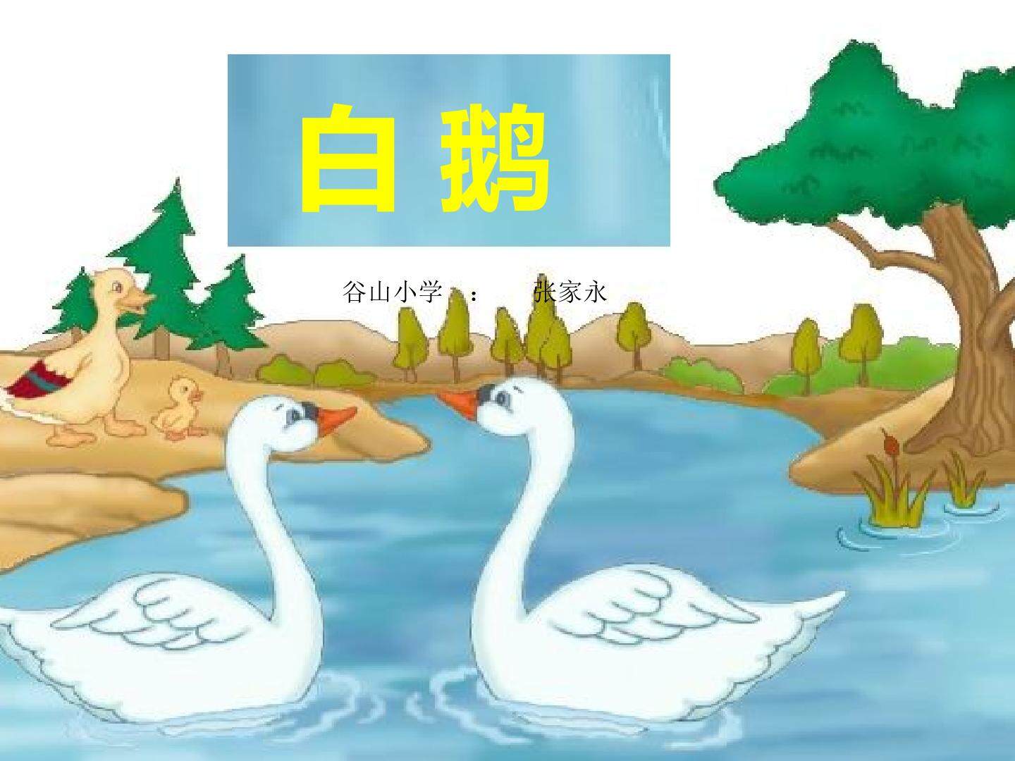 《白鹅》课件