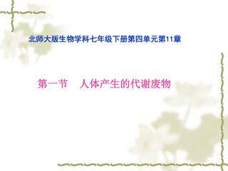 人体产生的代谢废物