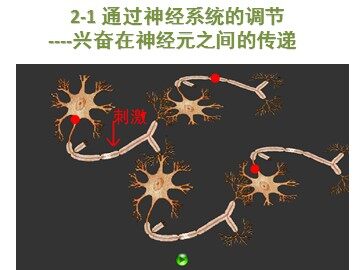 与生物学有关的职业 神经外科医生