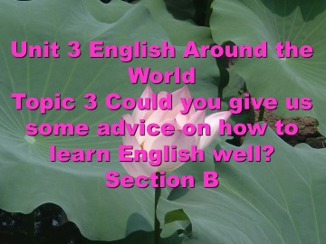 Topic 3. Could you give us some advice on how to learn English well?_课件1