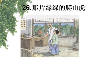 26 那片绿绿的爬山虎