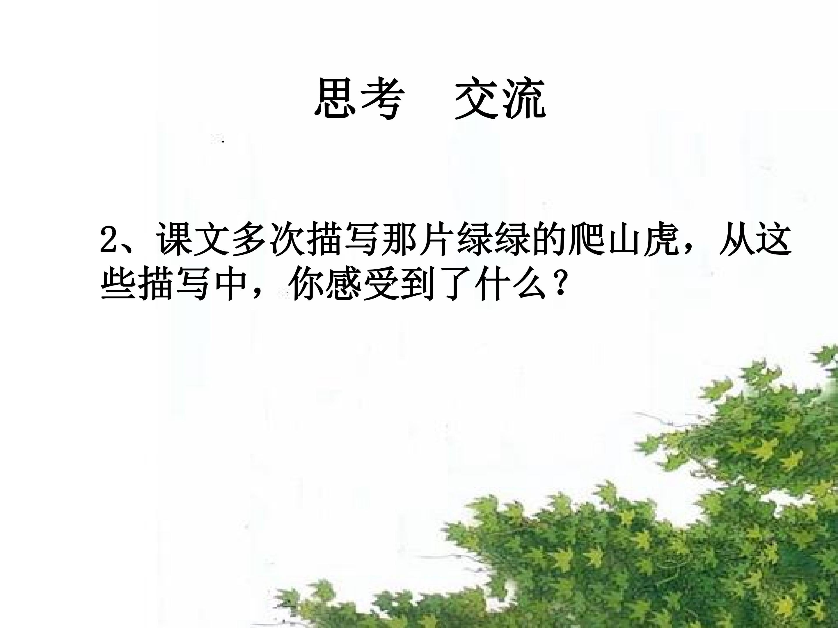 27.jpg