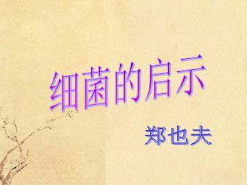 细菌的启示_课件1