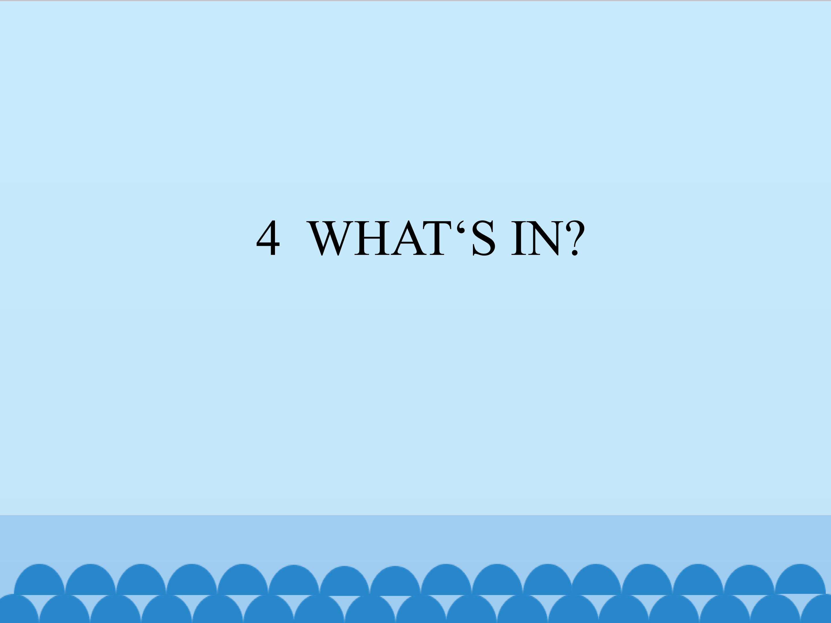 4  WHAT'S IN?_课件1