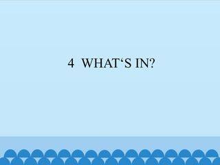 4  WHAT'S IN?_课件1