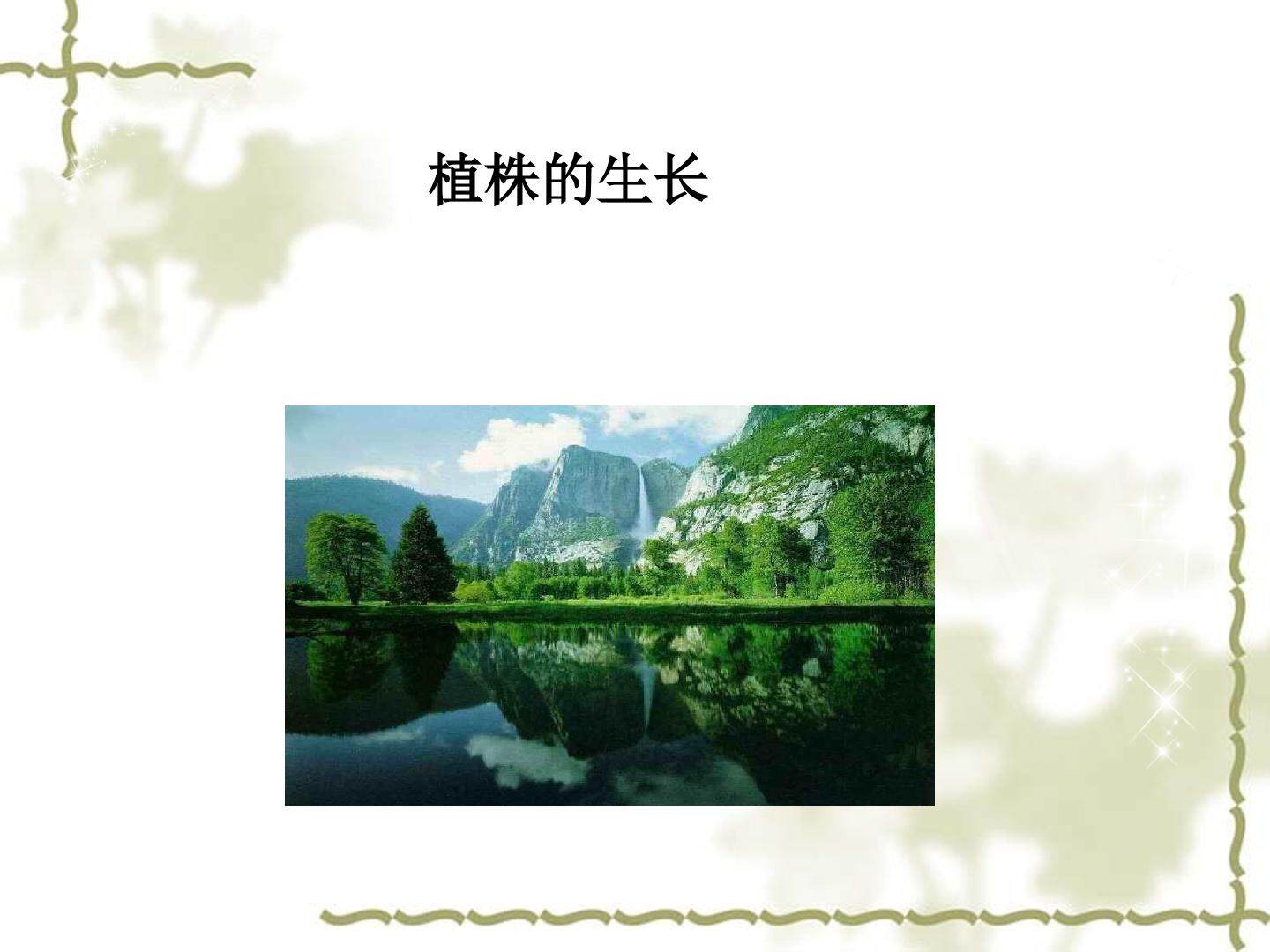 植株的生长_课件1