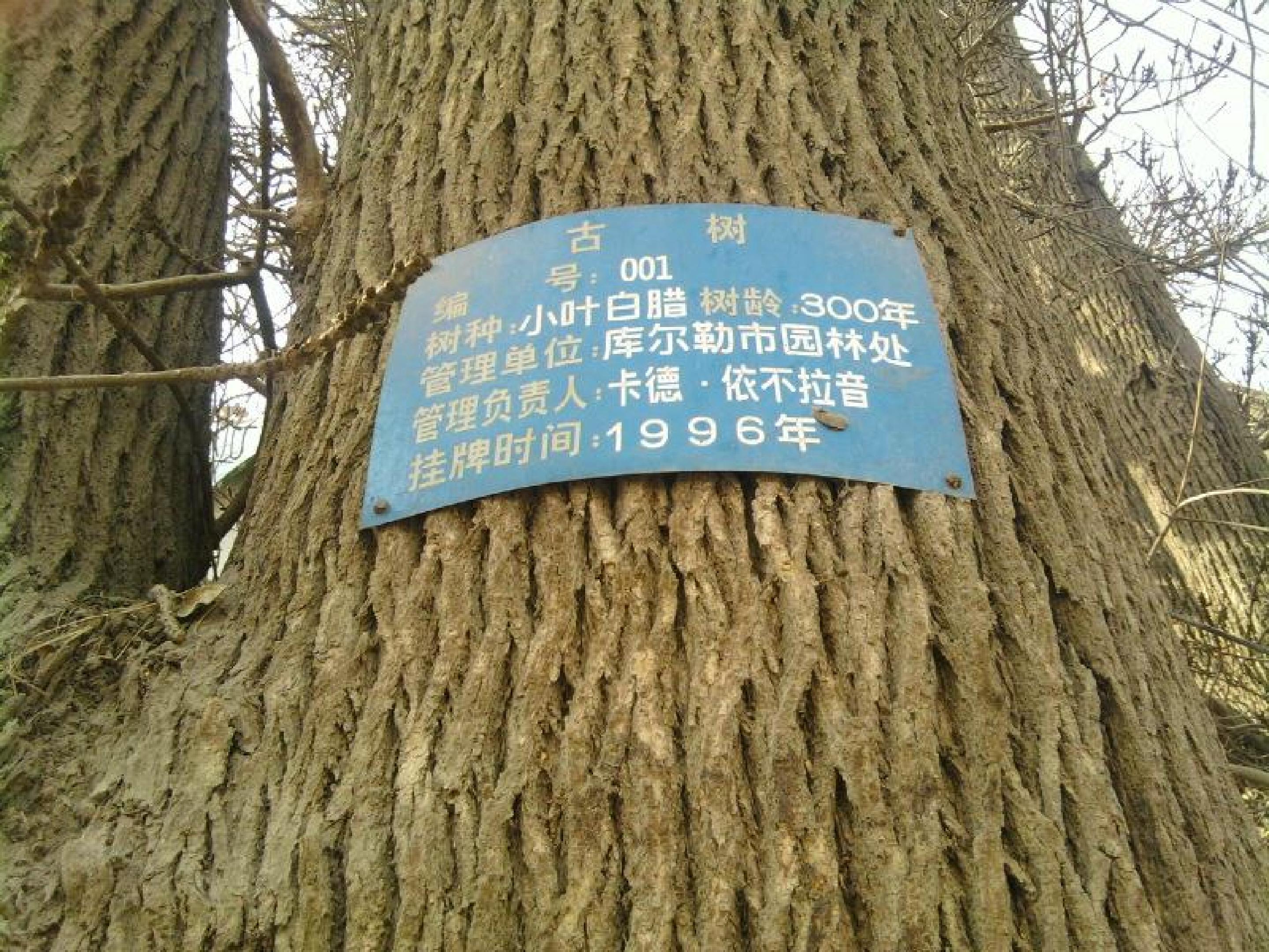 55.jpg