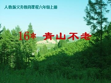 16* 青山不老 