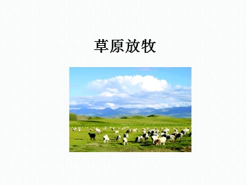 草原放牧_课件1