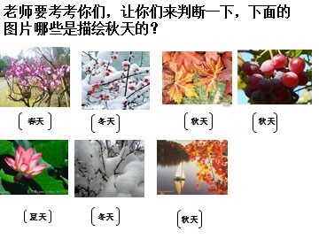 1 秋天的图画 