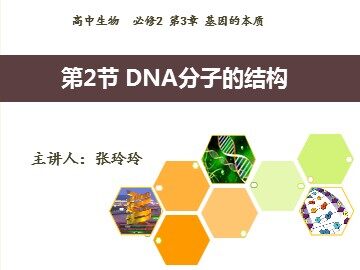 DNA分子的结构