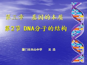 课件