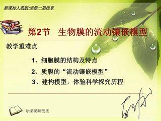 《生物膜的流动镶嵌模型》