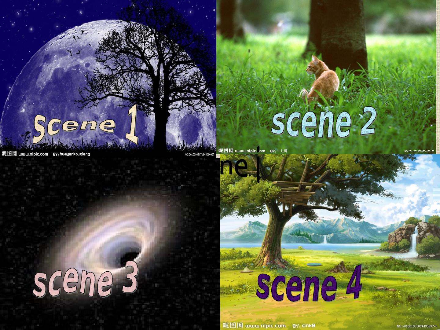 5.jpg