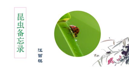 4《昆虫备忘录》