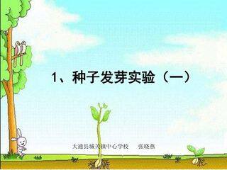 种子发芽实验