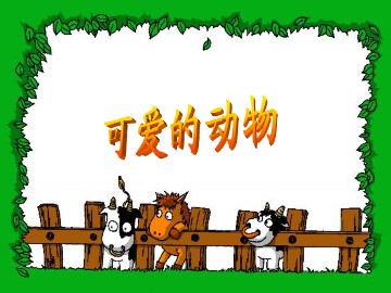 第14课  可爱的动物