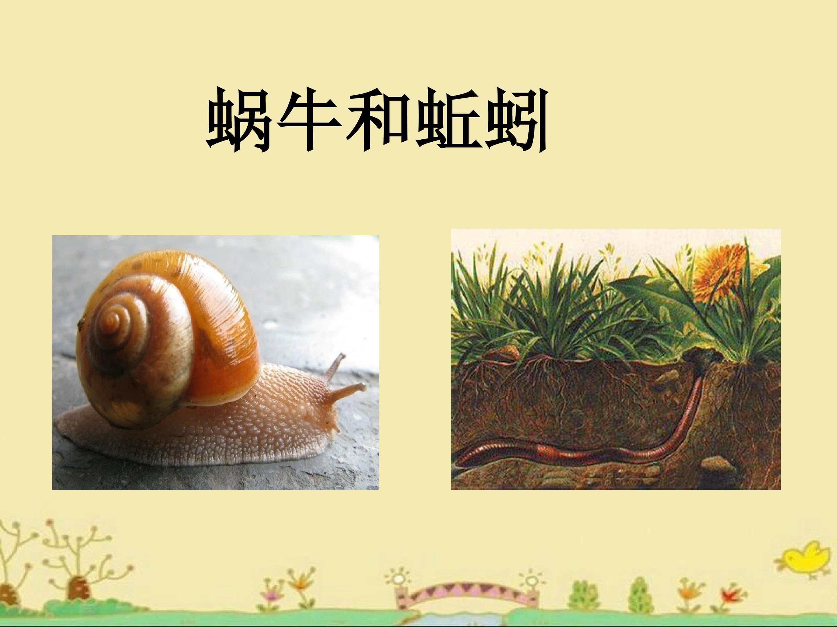 蜗牛和蚯蚓