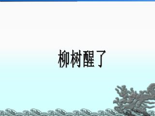 柳树醒了_课件2