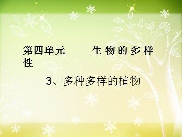 《多种多样的植物》课件2