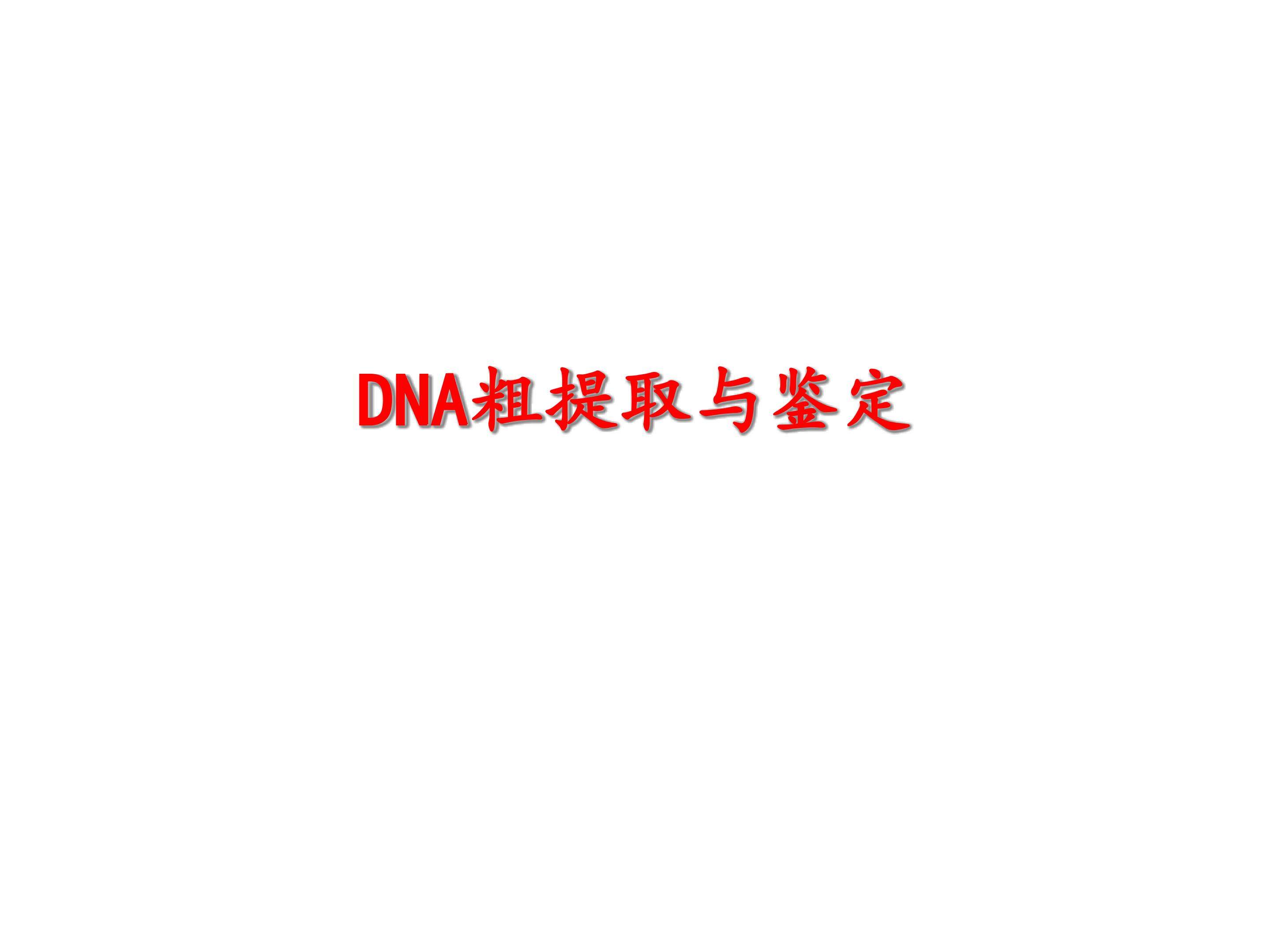 DNA的粗提取与鉴定_课件1