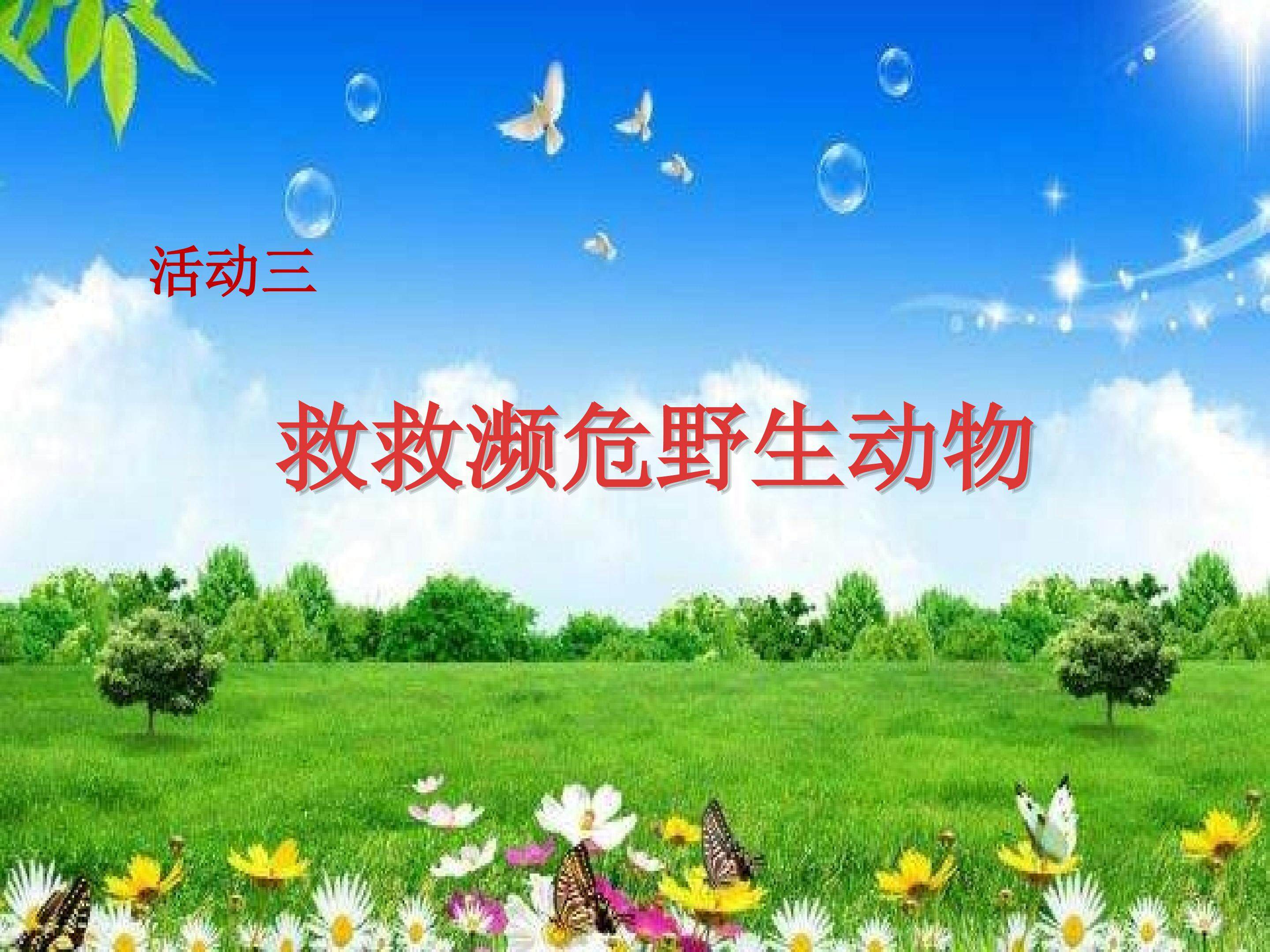 救救濒危野生动物