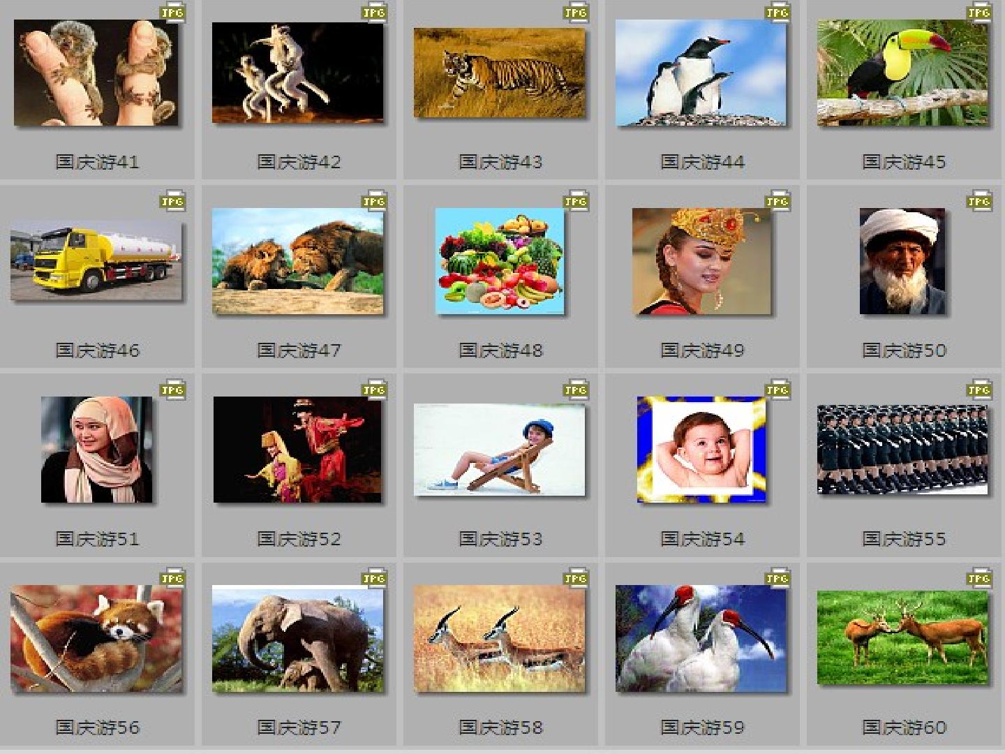 5.jpg
