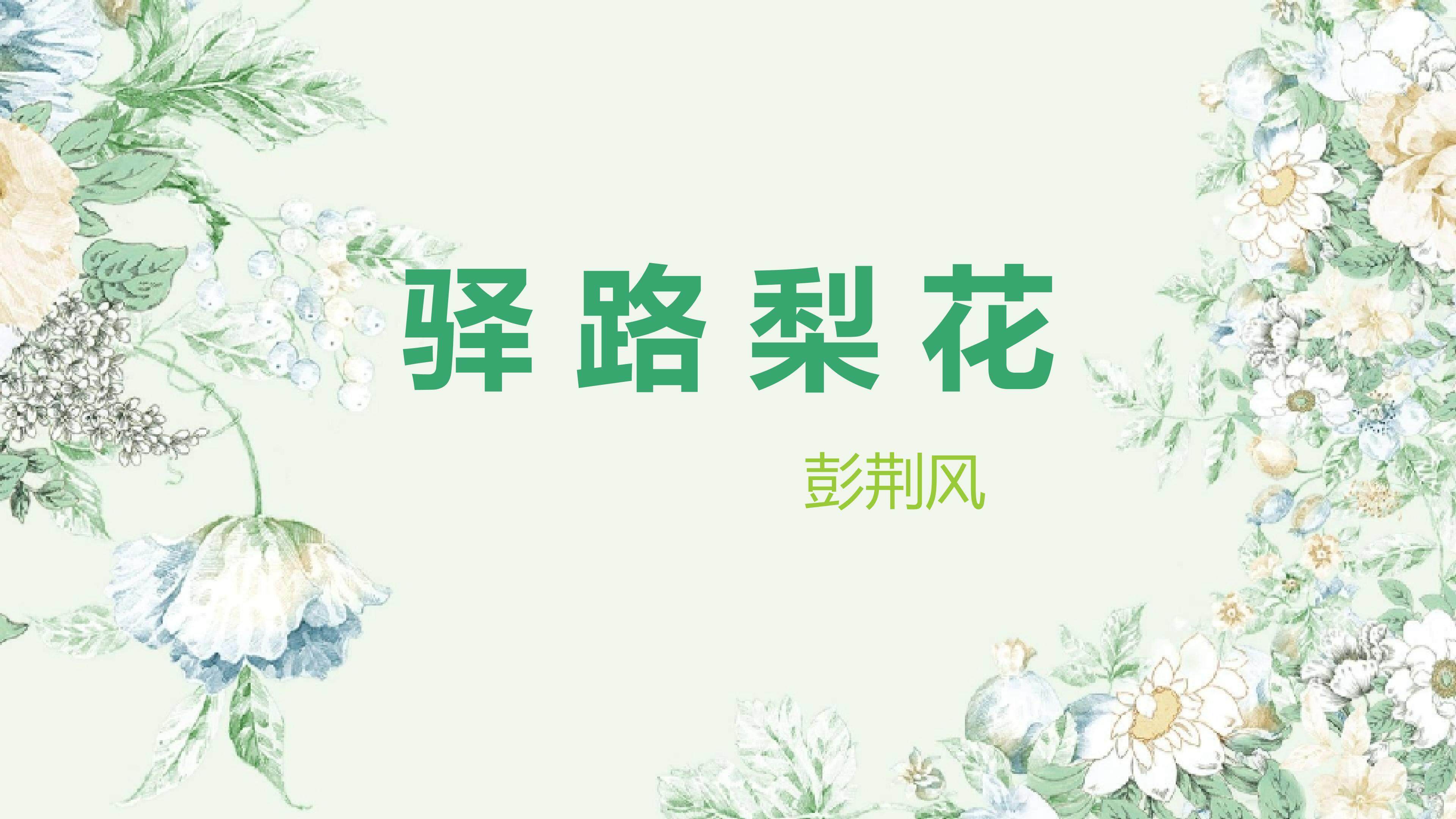 《驿路梨花》