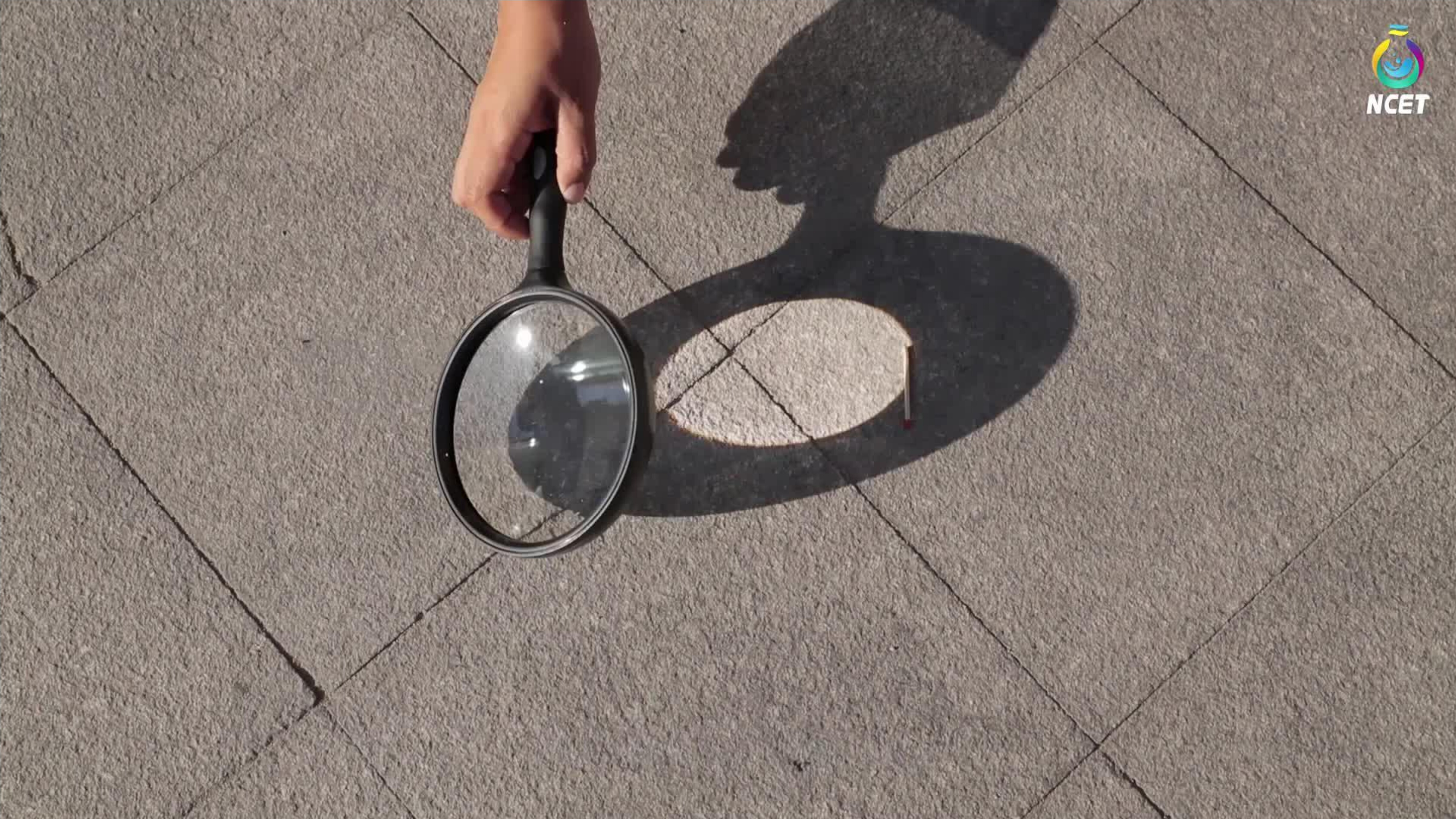 31