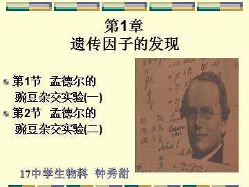 生物高中必修2第一章第一节课件3