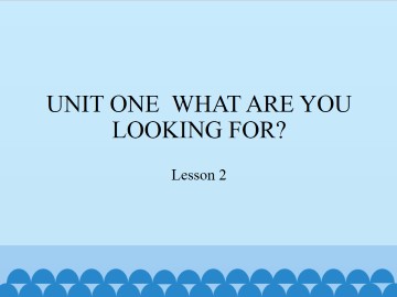 UNIT ONE  WHAT ARE YOU LOOKING FOR?-Lesson 2_课件1