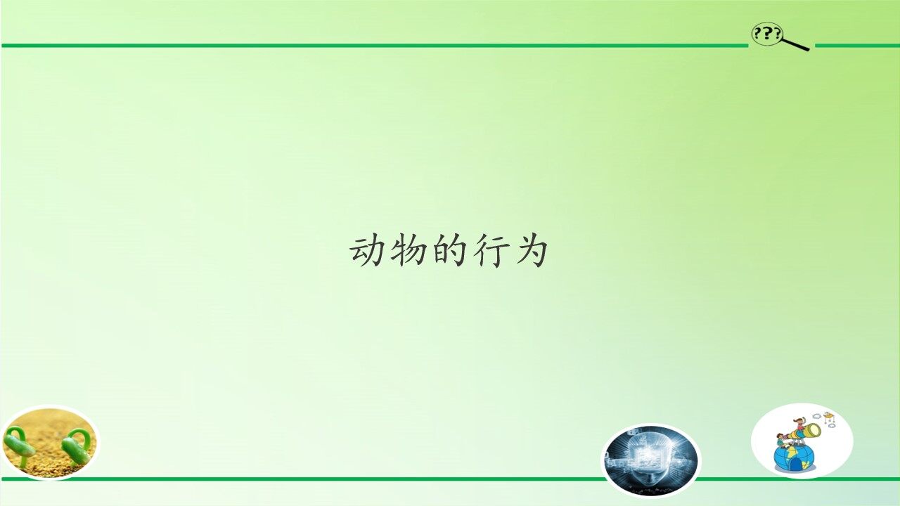 动物的行为