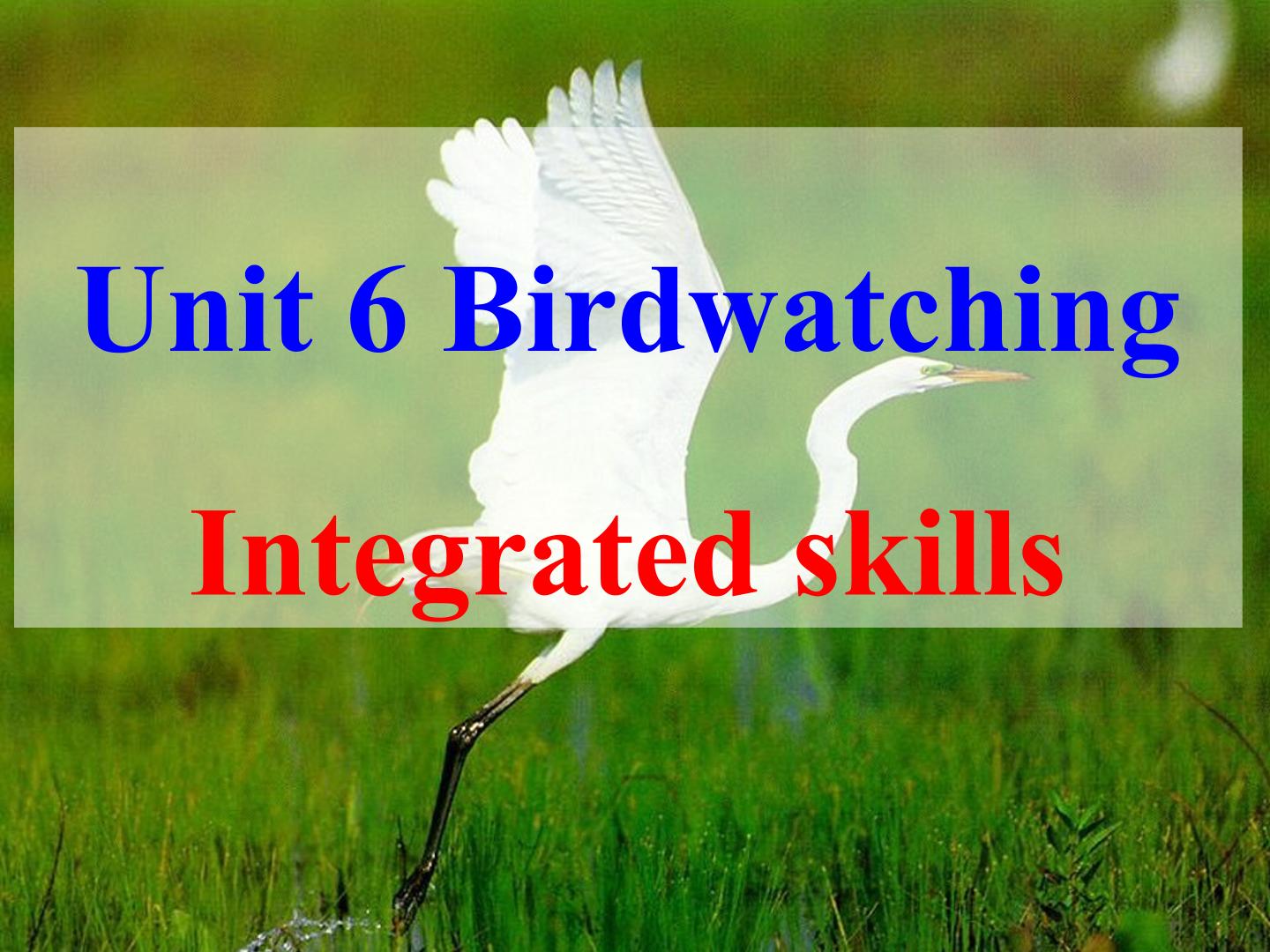 Unit 6 Birdwatching_课件1