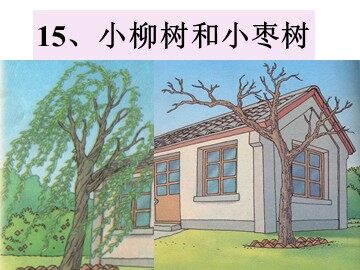 15 小柳树和小枣树 