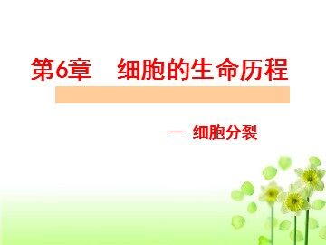 第1节  细胞的增殖