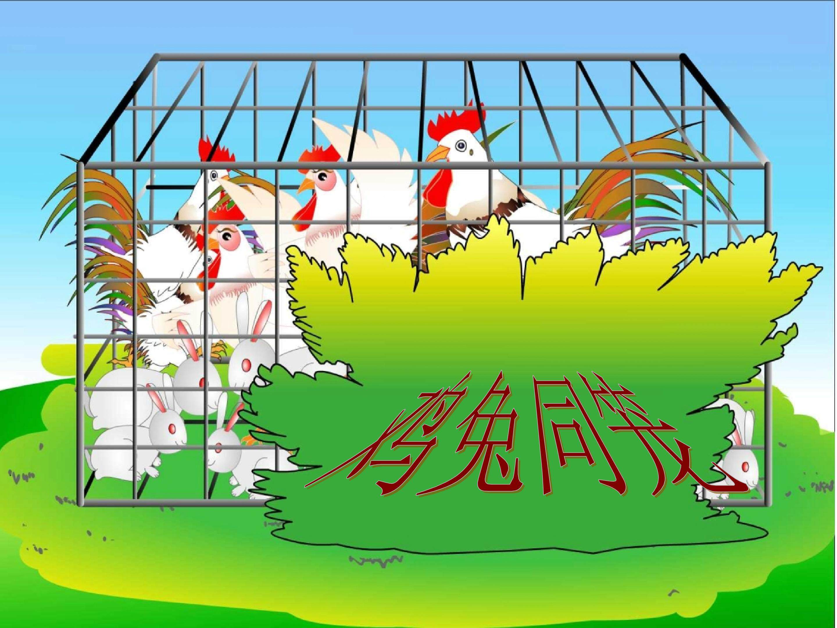 鸡兔同笼