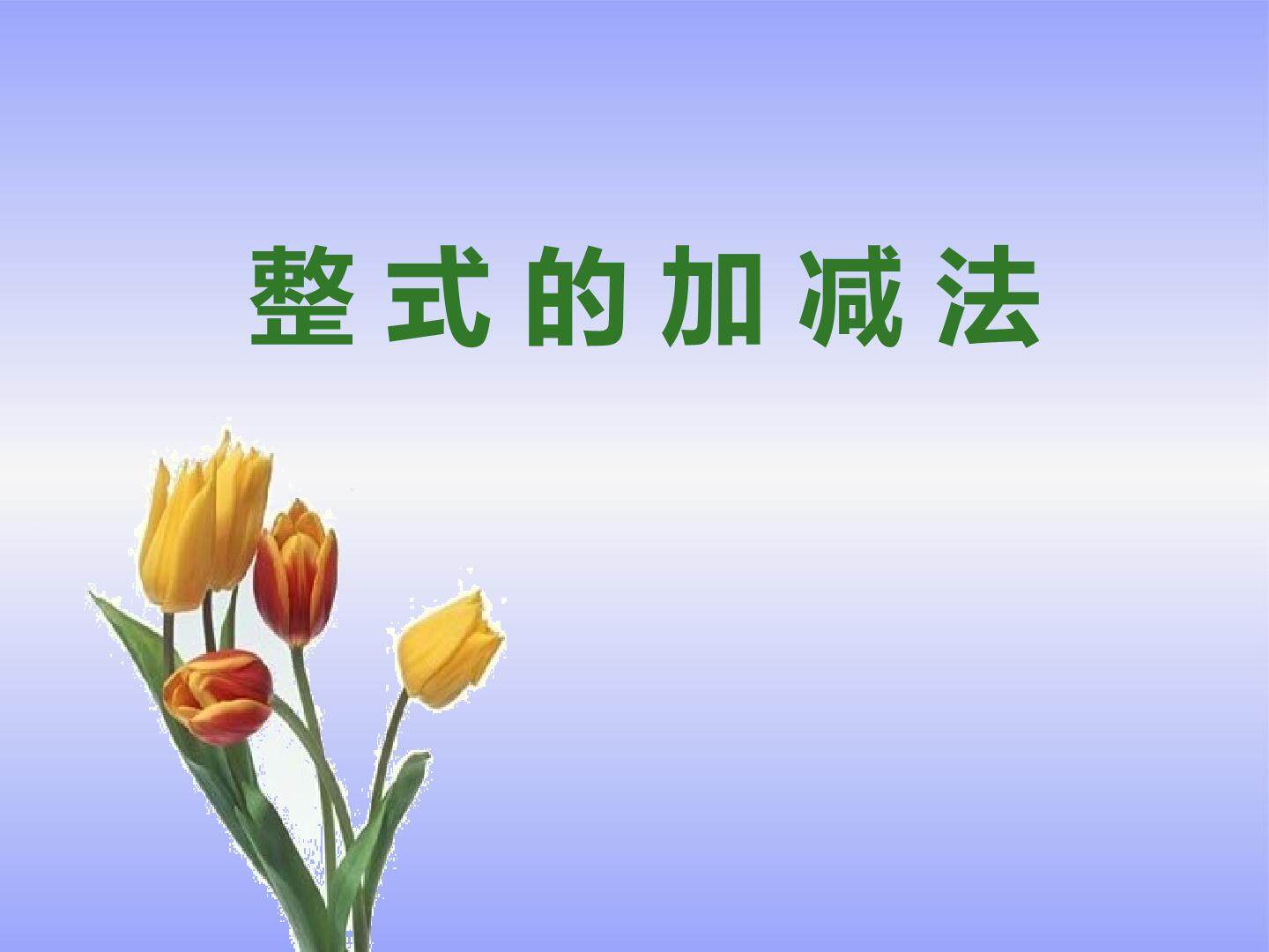 整式的加减法_课件1