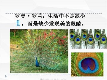 科学史话  世界上第一个人工合成蛋白质的诞生
