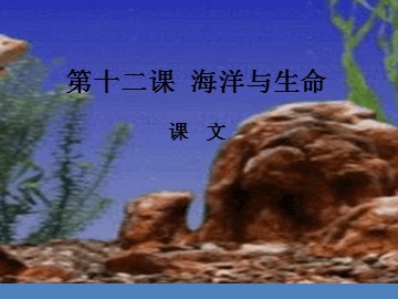听力理解