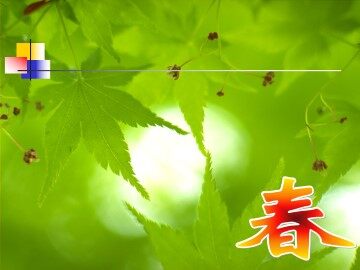 秋天_课件6